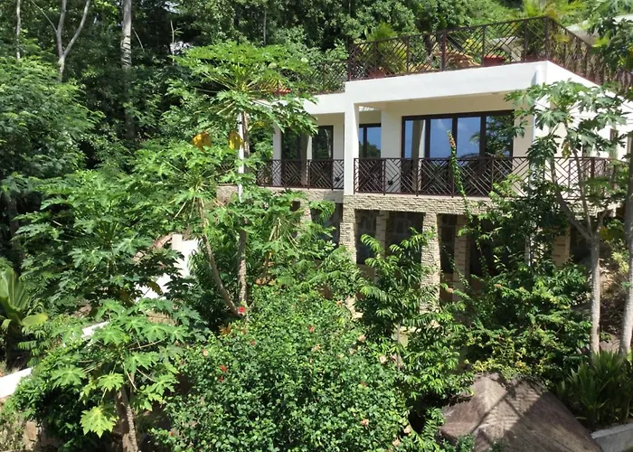 Bougainvillas Seychelles *