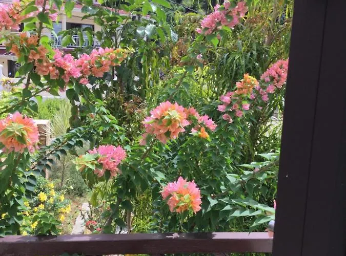 Bougainvillas Seychelles Apartmán Anse Royale