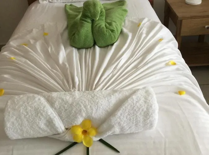 Bougainvillas Seychelles * Anse Royale